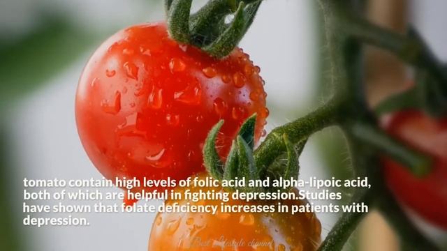 Foods that help you manage your mood смотреть онлайн