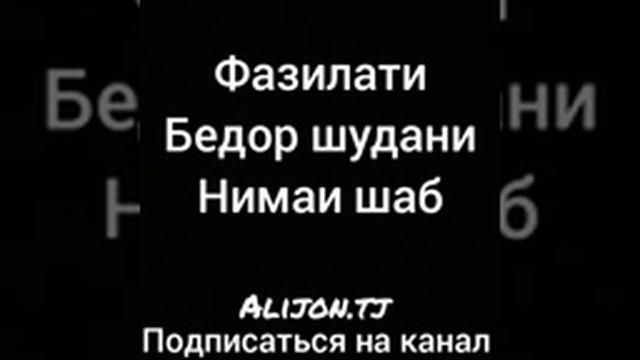 23 декабря 2022 г. смотреть онлайн