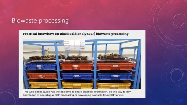 Chitosan bsf larvae : Technology Sources, Project Information смотреть онлайн