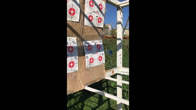 Reximex Apex Pellet Test / 25 yard смотреть онлайн