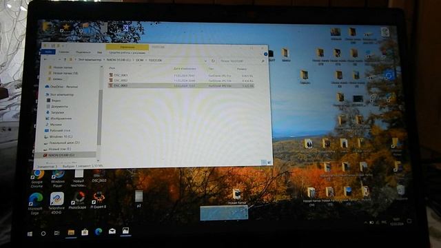 Глухарь из дерева пока что на бумаге смотреть онлайн