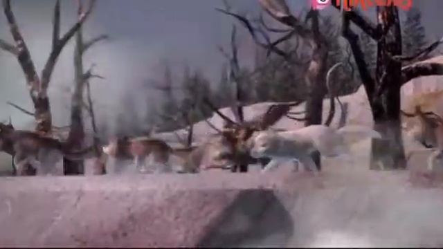 01. Провідник. Казки Татонки смотреть онлайн