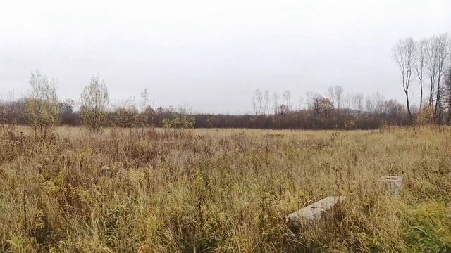 VID_20241109_121716 смотреть онлайн