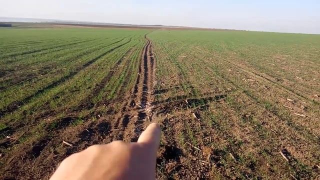 15.10.18 Обзор посевов пшеницы Лира и Эра Одесская смотреть онлайн
