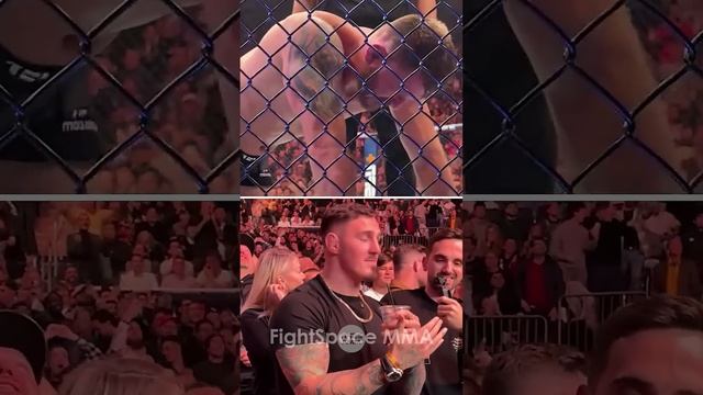 Реакция Тома Аспиналла на победу нокаутом Джона Джонса / Джонс - Миочич | FightSpaceММА смотреть онлайн