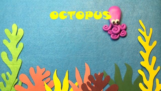 SEA ANIMALS FOR CHILDREN / SEA ANIMALS VOCABULARY