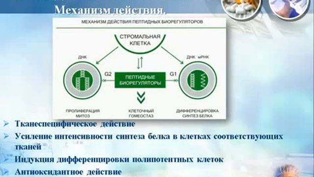Короткая презентация НПЦРиЗ 3) смотреть онлайн