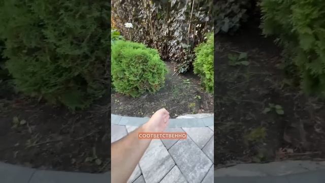 Радиусные бордюры