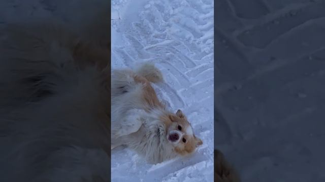 На этой огромной планете сынок под куполом вечных небес есть множество различных путей и дорогой смотреть онлайн