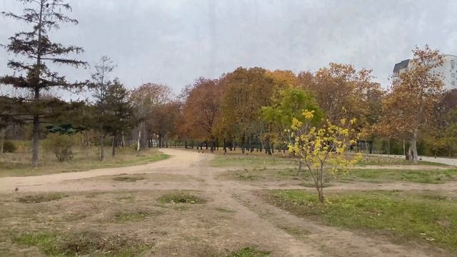ПАРК ПОБЕДЫ В СЕРЕДИНЕ НОЯБРЯ❗️ОДЕССА В НОЯБРЕ ПРЕКРАСНА❗️🍁 ODESSA NOVEMBER VICTORY PARK 2020❗️🍁 смотреть онлайн