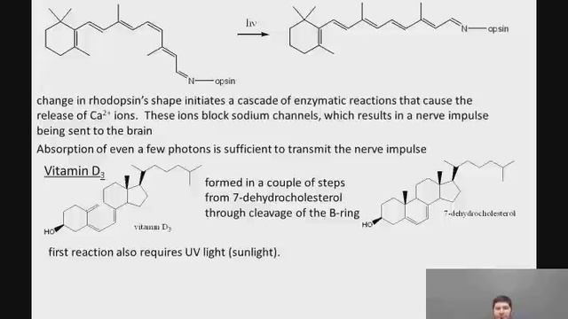 11 16 Fat soluble vitamins смотреть онлайн