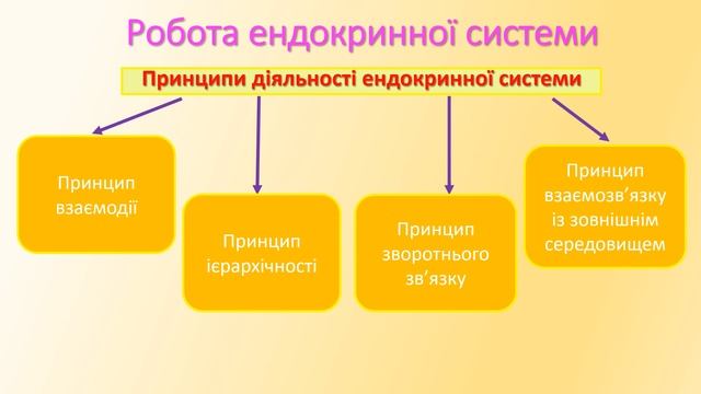 Урок №2 Ендокринна регуляція смотреть онлайн