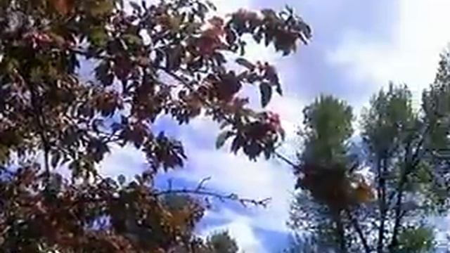 Хельсинки - Стокгольм 2012 смотреть онлайн