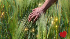 Дальновидная фантазия по книге Н. Годдарда "Закон и обещание"