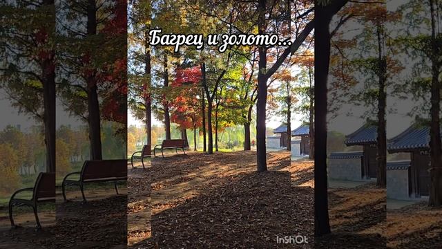 Золотая осень.mp4