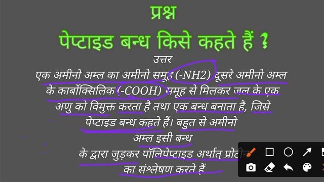 पेप्टाइड बन्ध ( Peptide Bond ) किसे कहते हैं ? 12th Biology Chapter- 6 वंशागती का आणविक आधार смотреть онлайн
