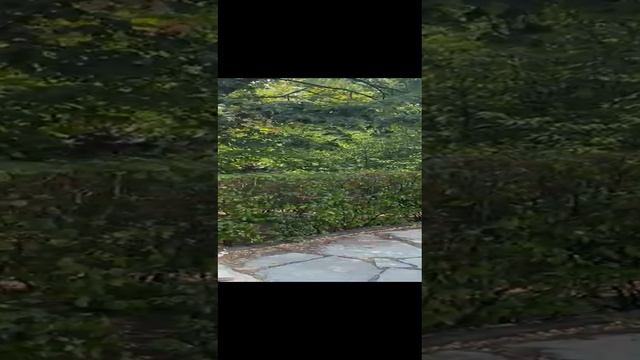 Армения, Ереван🇦🇲