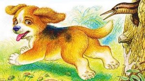 Сказки для малышей / Виталий Бианки / Первая охота