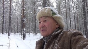 Промысловая охота на соболя сезон 2024.