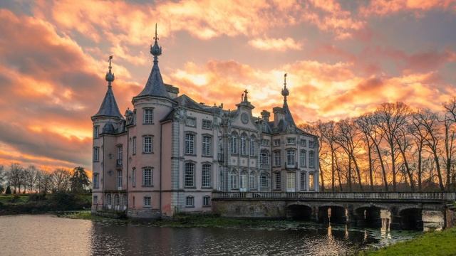 Beauty & the Beast, arranged for String Quartet | Sheet music preview смотреть онлайн