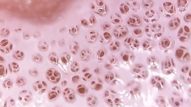 Elastic bubble facial cream makes elastic skin / 엘라스틱 버블 페이셜크림으로 탄력적인 피부케어 смотреть онлайн
