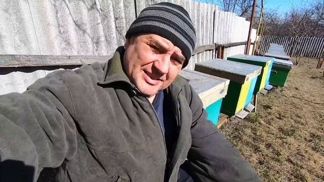 ✅ Злой БАКФАСТ, пчелы начинают летать и многое не о чем! #ПЧЕЛОВОДСТВО2 начинающим с нуля! смотреть онлайн