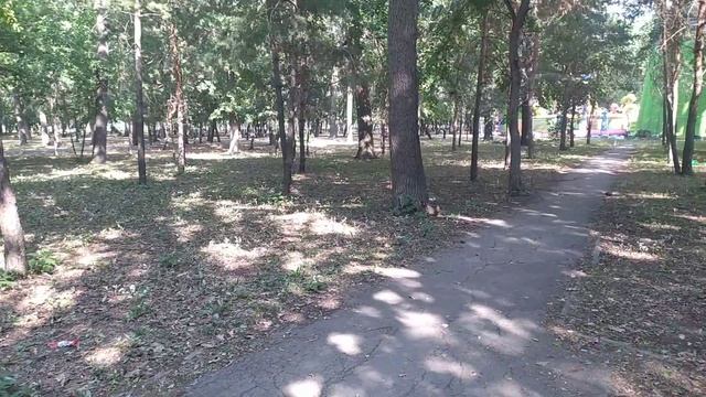 Белки в парке. смотреть онлайн