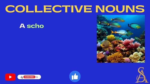 Collective Nouns | 40 Collective Nouns | English Grammar