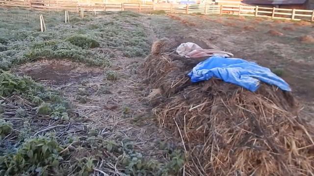 Заморозок в конце мая, минус восемь смотреть онлайн