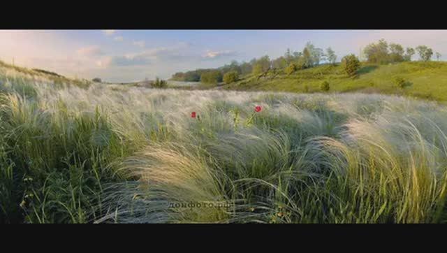 В наших южных полях. Песни СВО