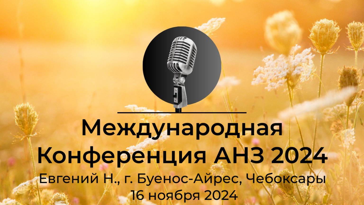 "Международная Конференция АНЗ 2024" Евгений Н., г. Буенос-Айрес, Чебоксары, 16 ноября 2024 года смотреть онлайн