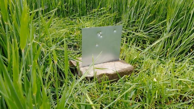 GAMO Forest 4,5mm vs 0,6 mm metal plate смотреть онлайн