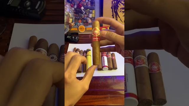 أفضل عشر انواع للمبتدئين 🇨🇺🍂 смотреть онлайн