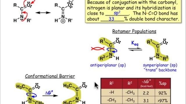 The Peptide Bond смотреть онлайн
