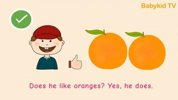 Does he like...? Yes, he does/ No, he doesn't.