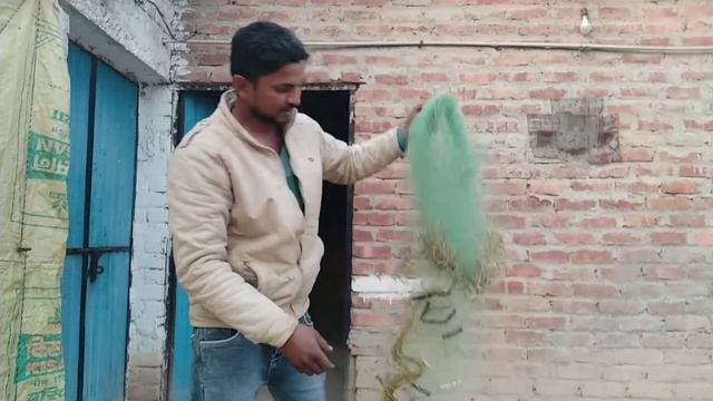 Радостные опыты в гостиной