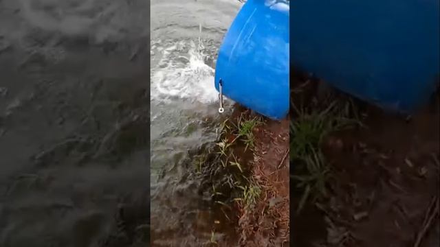 запуск смотреть онлайн
