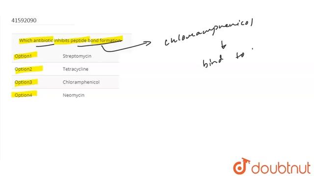 Which antibiotic inhibits peptide bond formation | 12 | MOLECULAR BASIS OF INHERITANCE | BIOLOGY... смотреть онлайн