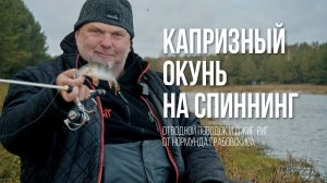 Нормунд Грабовскис: Окунь на отводной поводок и джиг-риг — тактика ловли поздней осенью