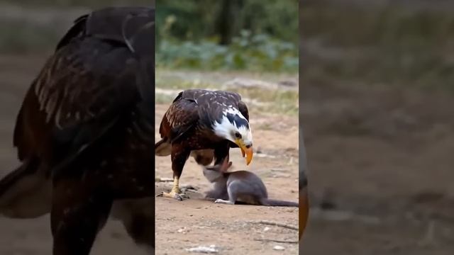 Что там происходит? смотреть онлайн