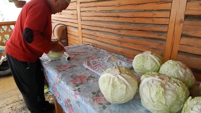 Упаковал капусту на хранение по совету смотреть онлайн