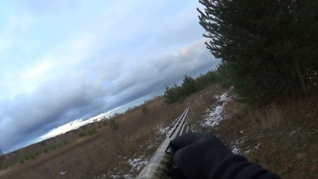 Stoeger 2000