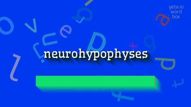 NEUROHYPOPHYSES - HOW TO SAY NEUROHYPOPHYSES? #neurohypophyses смотреть онлайн