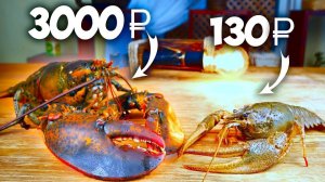 БИТВА ЧЛЕНИСТОНОГИХ: Рак против Лобстера! Что вкуснее и почему так дорого?  ВАНЗАЙ  vanzai