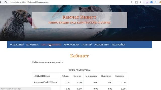 Обзор и отзывы о проекте "Kamchat Invest" - Хайп Мониторинг инвестиционных проектов RichMonkey.biz смотреть онлайн
