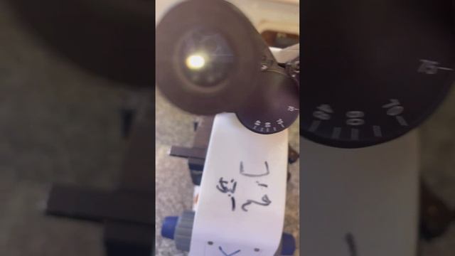 شكل الجذور احادية الفلقه تحت الميكروسكوب смотреть онлайн