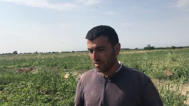Հաղորդում 5. Սեխ։ Մունա և Նագամ смотреть онлайн