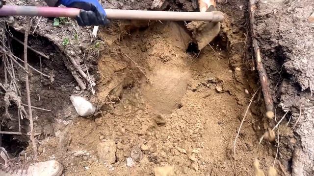 The biggest treasure i found in the world смотреть онлайн