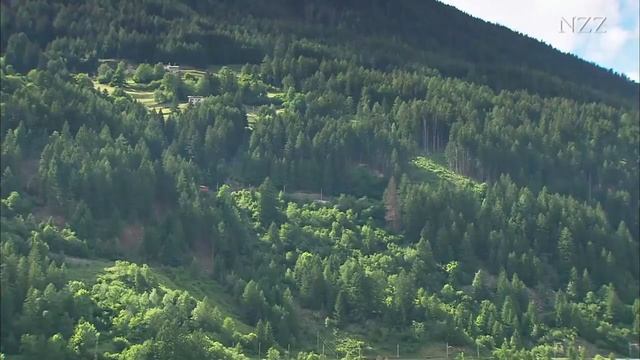 # NEPATHYA#Udayo Raillaile cover song by Prakash Basnet# смотреть онлайн