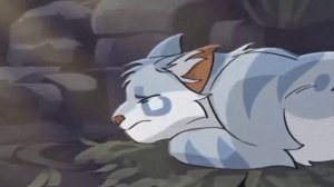 |Коты воители|клип|Воробей|Лететь|(чит. описание)